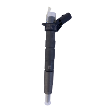 Injector 0445117048(Bosch) for Sale on jrcjung.de