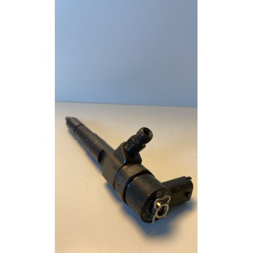 Injector 0445110419(Bosch) for Sale on jrcjung.de