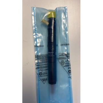 Injector R04101D(Delphi) for Sale on jrcjung.de